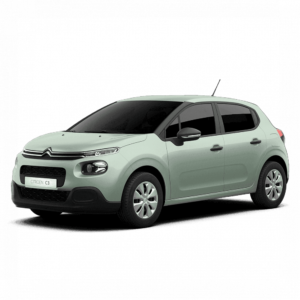Выкуп глушителей Citroen Citroen C3