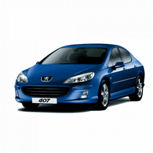 Выкуп глушителей Peugeot Peugeot 407