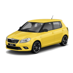 Выкуп глушителей Skoda Skoda Fabia RS